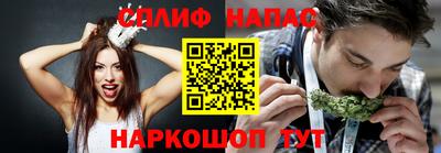 крисы Дубна