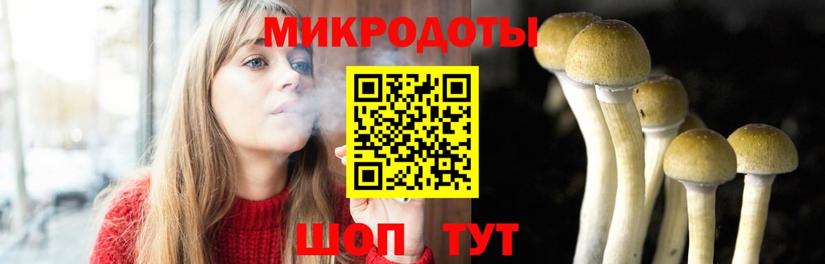 Дедовск  Галлюциногенные грибы Psilocybe  Вход с VPN 